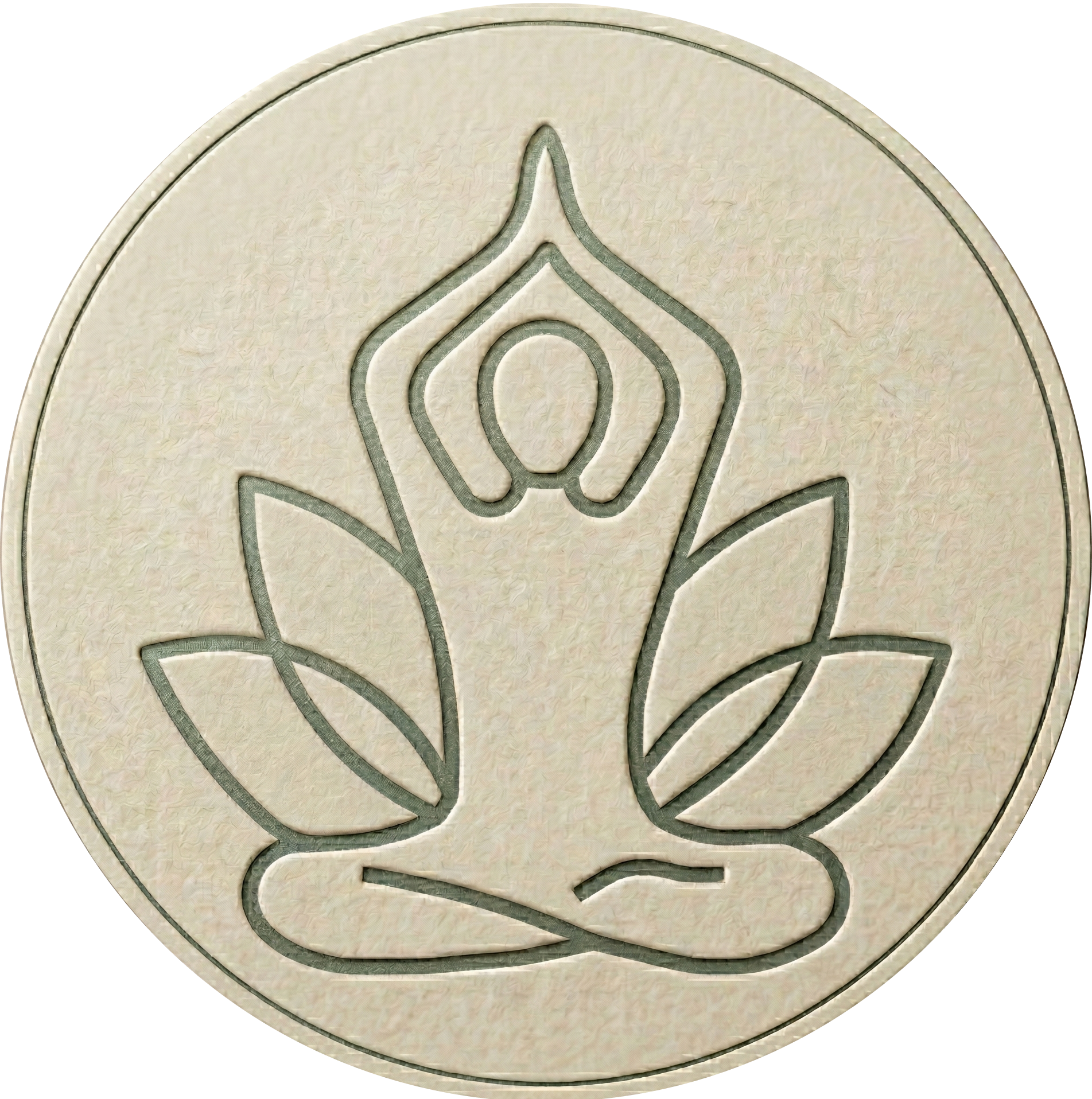 virellepilates.com logo